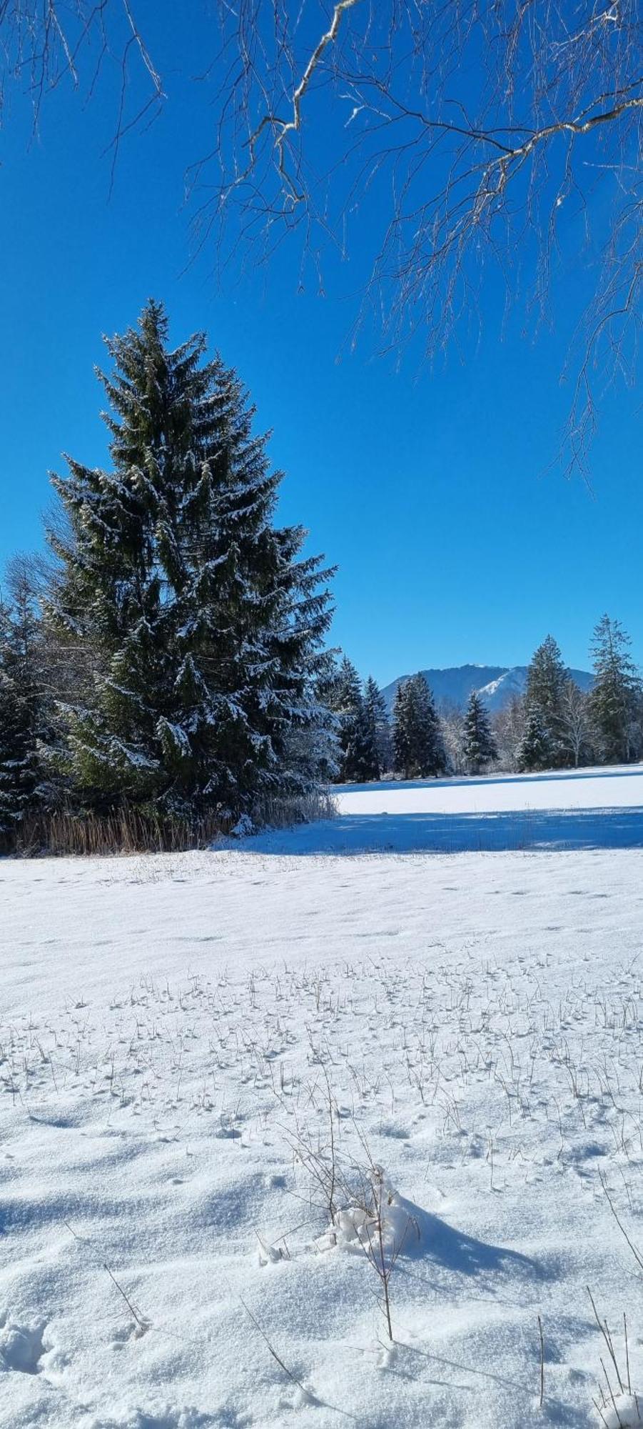 Boutique Hotel Angerer Murnau am Staffelsee Buitenkant foto