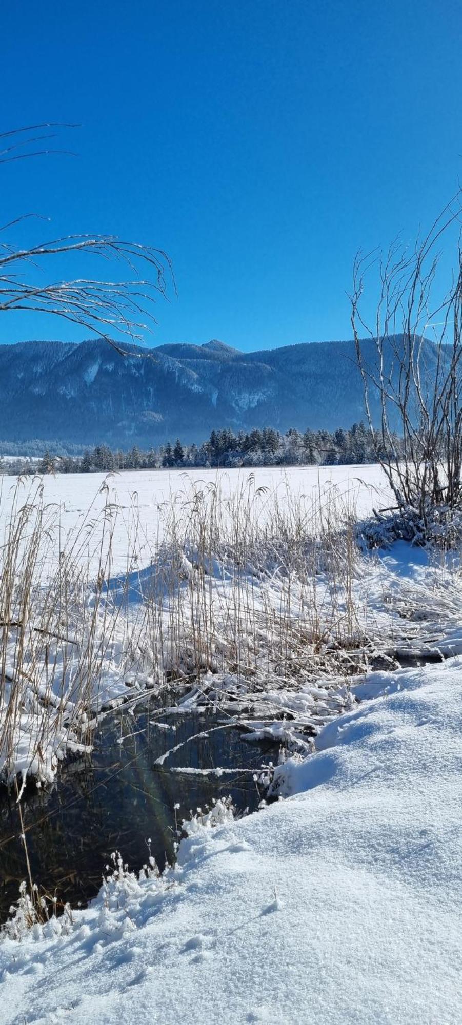 Boutique Hotel Angerer Murnau am Staffelsee Buitenkant foto