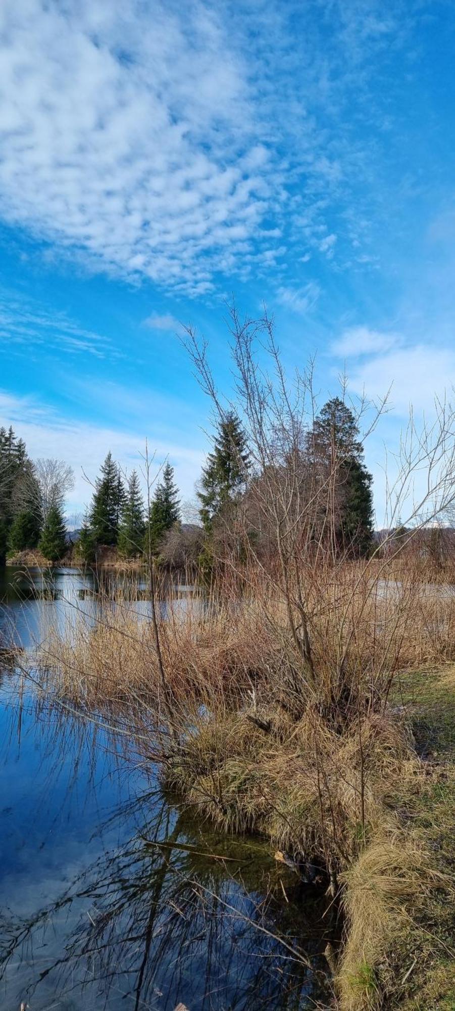 Boutique Hotel Angerer Murnau am Staffelsee Buitenkant foto